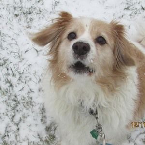 Meet your Posher, Tara